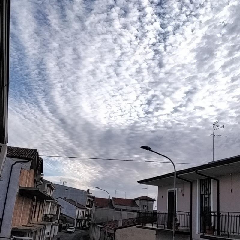Fotosegnalazione di Spezzano albanese