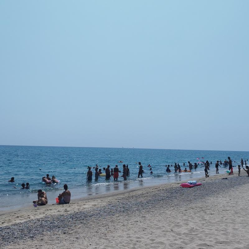 Davoli marina