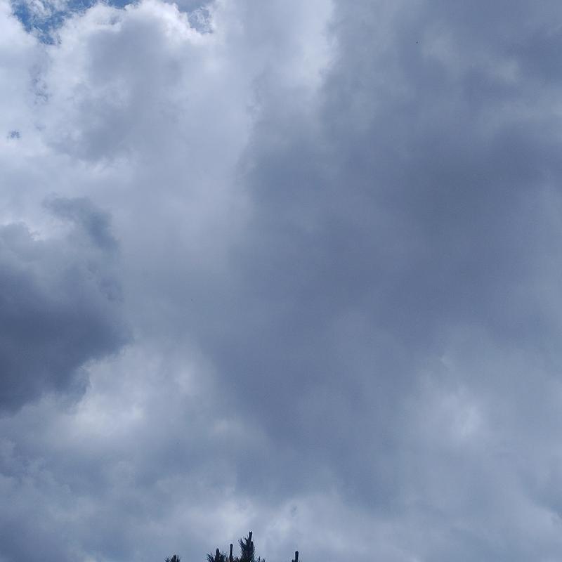 Addirittura piove leggermente. sveglia dai su