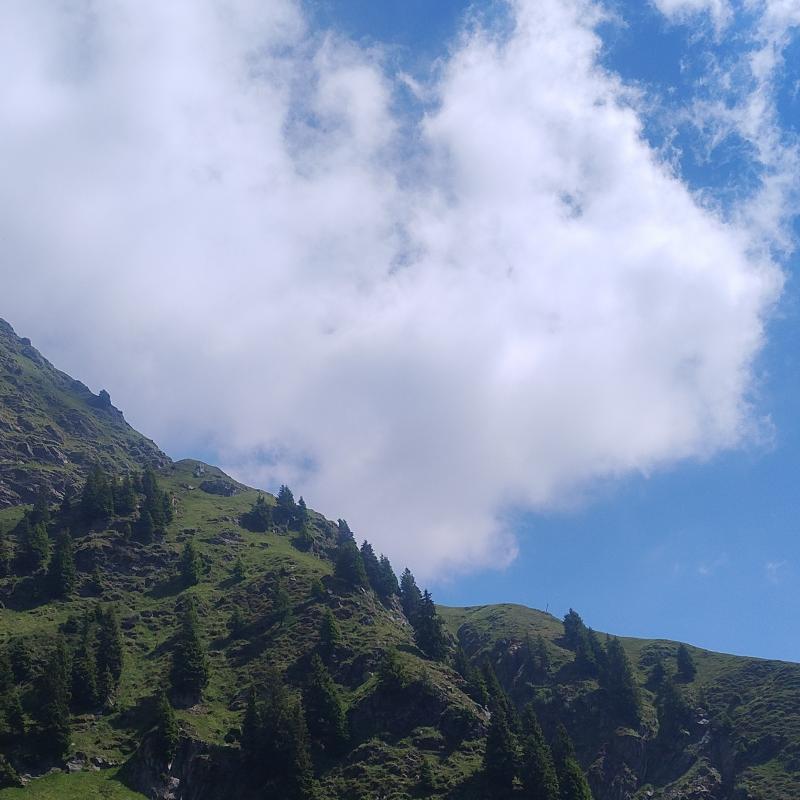 Nubi sparse e clima stile foresta amazzonica