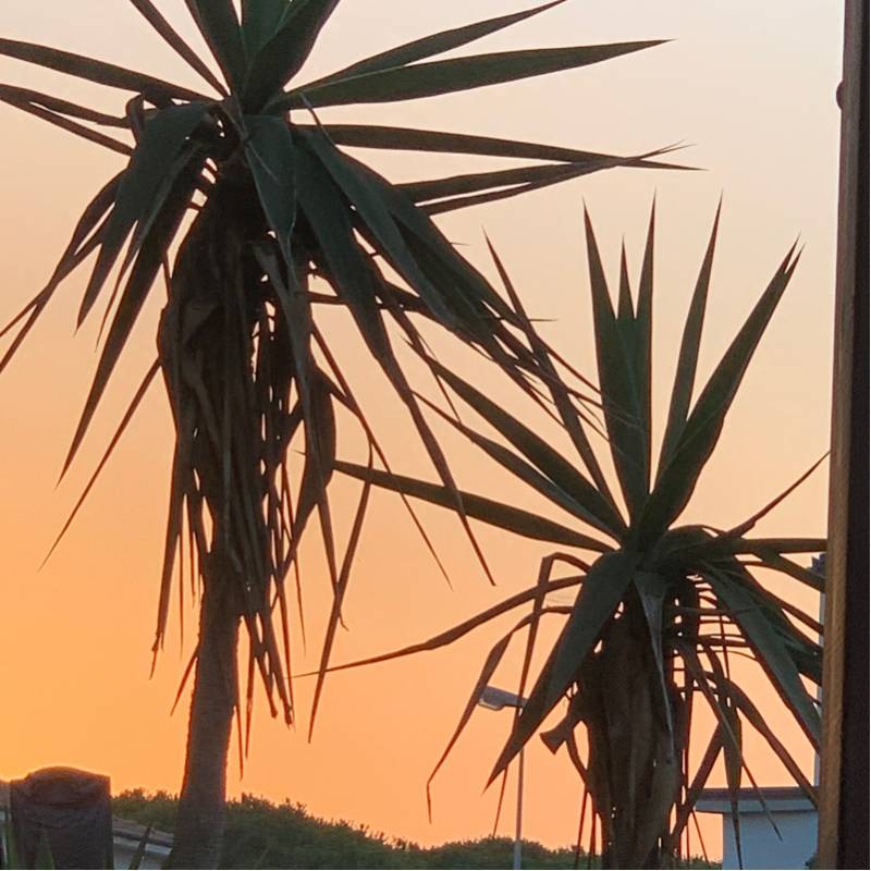 Fotosegnalazione di Marina di cecina