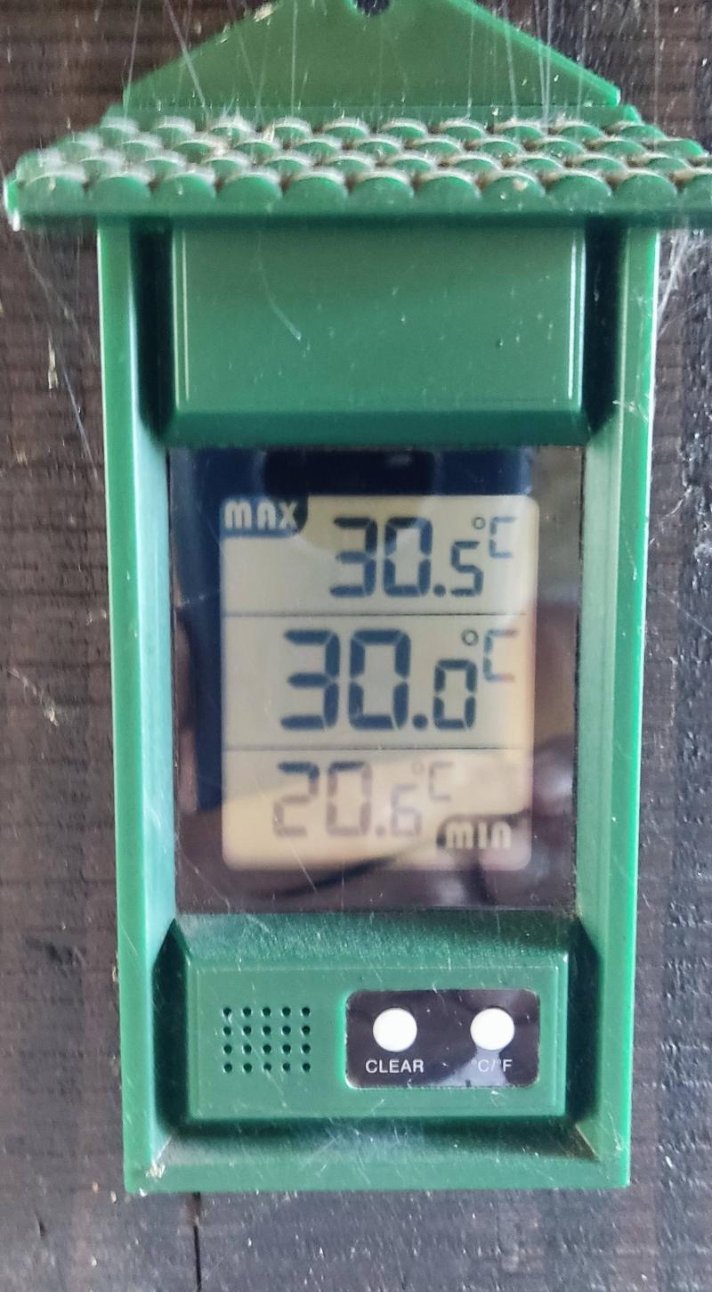 temperatura alle 17 oggi
