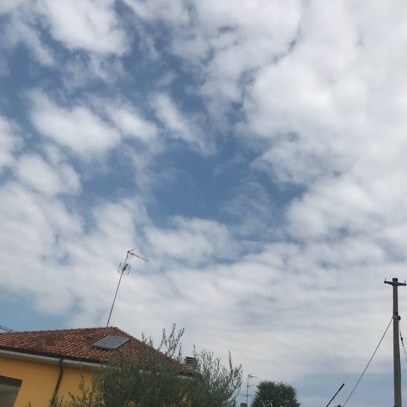 Fotosegnalazione di Magenta