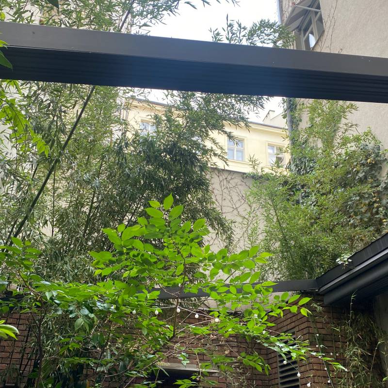 Fotosegnalazione di Citta' vecchia