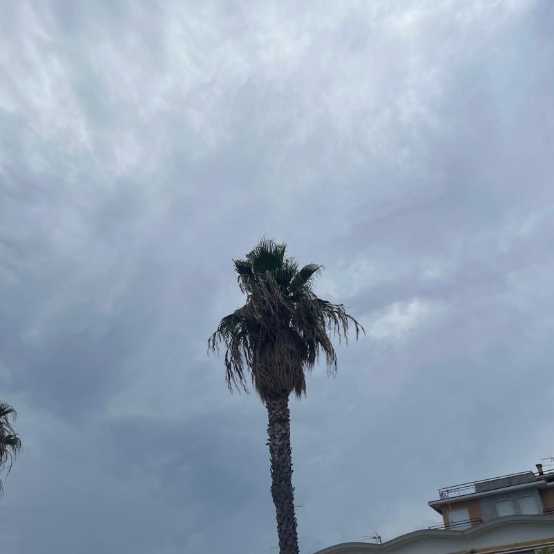 Fotosegnalazione di San bartolomeo al mare
