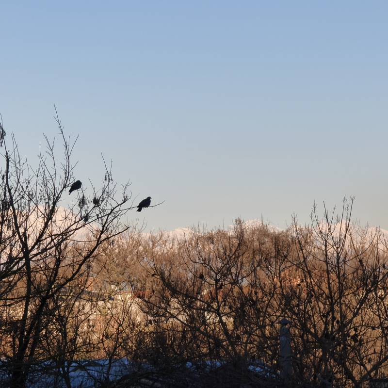 Fotosegnalazione di Novara centro urbano