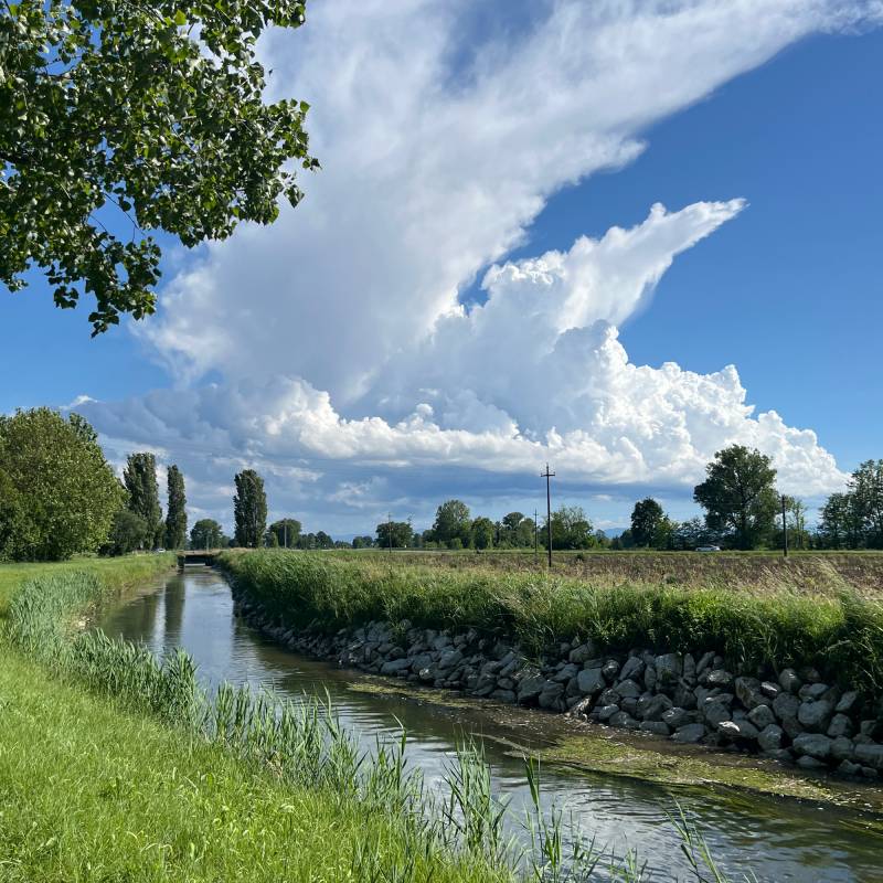 Fotosegnalazione di Ossago lodigiano