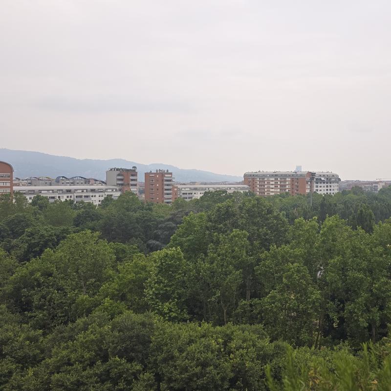 Fotosegnalazione di Torino borgo san paolo - cit turin