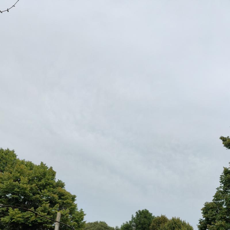 Fotosegnalazione di Parma centro