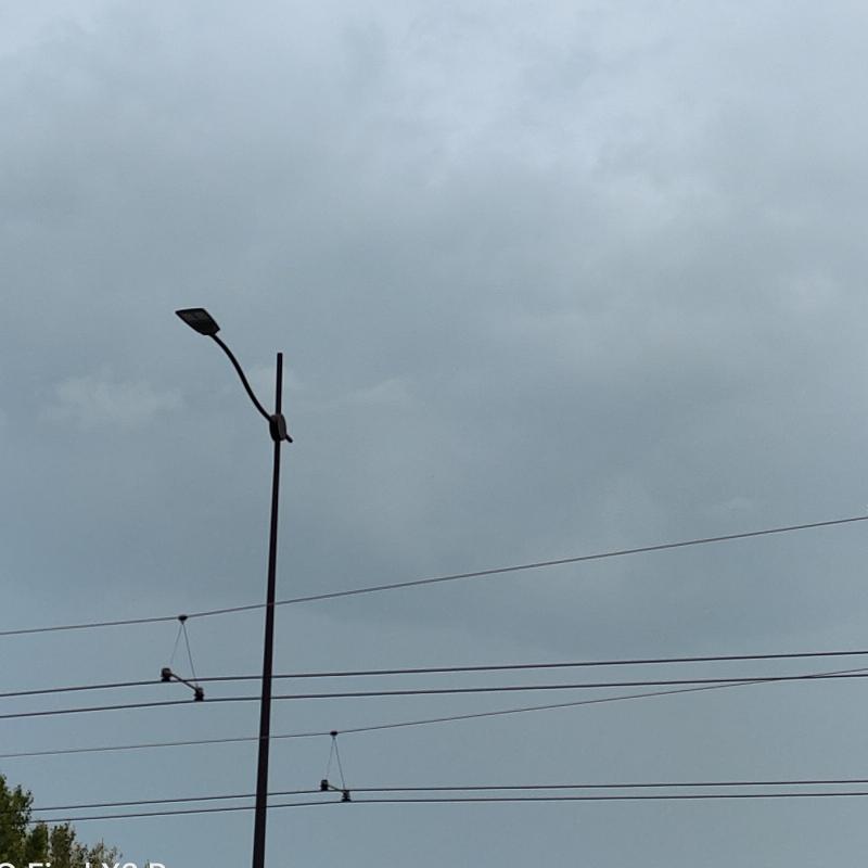 Fotosegnalazione di Parma lubiana