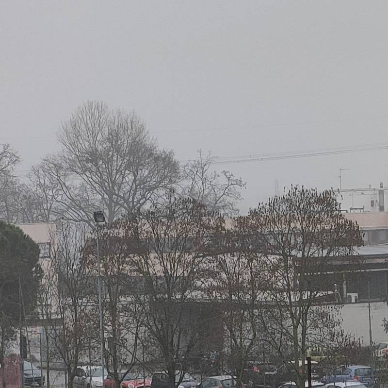 Fotosegnalazione di Trezzano sul naviglio