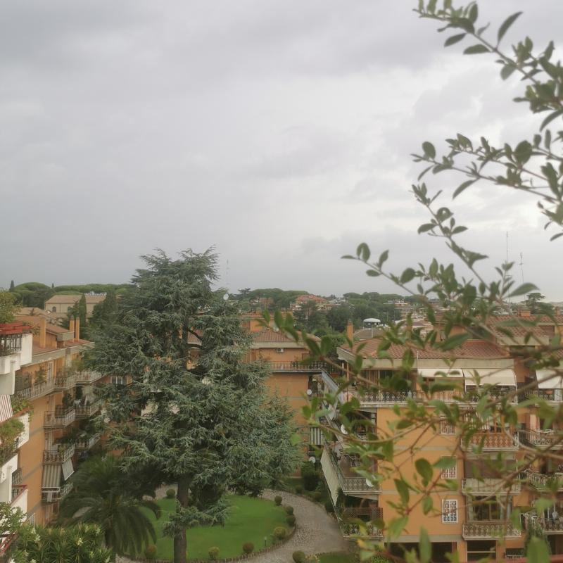 Portuense parrocchietta