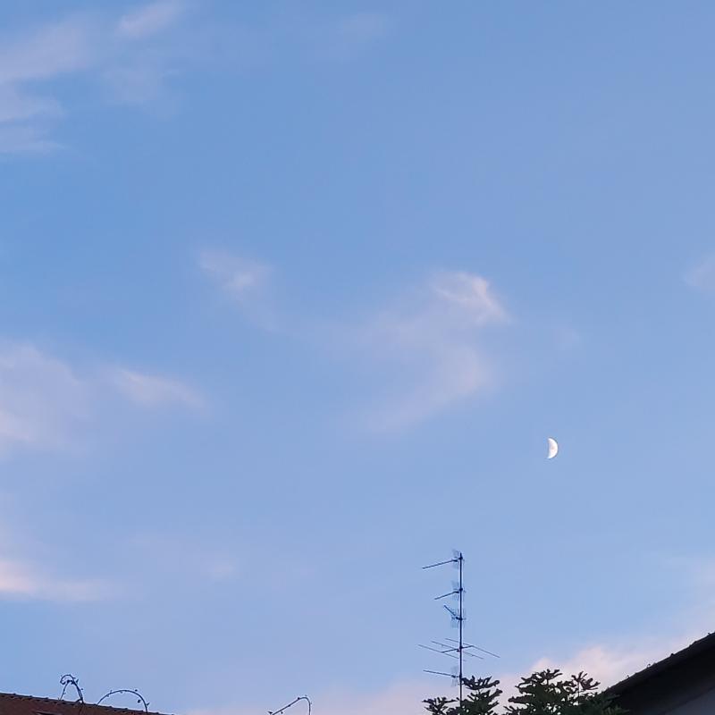 Fotosegnalazione di Jerago con orago