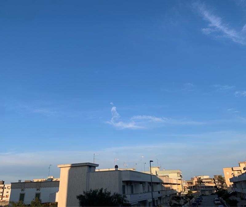 Fotosegnalazione di Monopoli