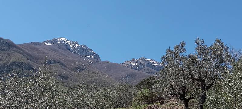 pizzo deta