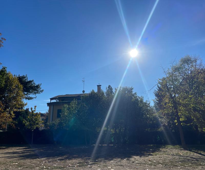 Fotosegnalazione di Bologna saragozza