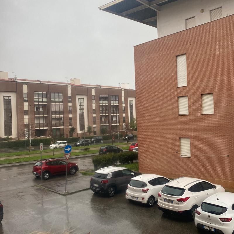 Fotosegnalazione di Livorno