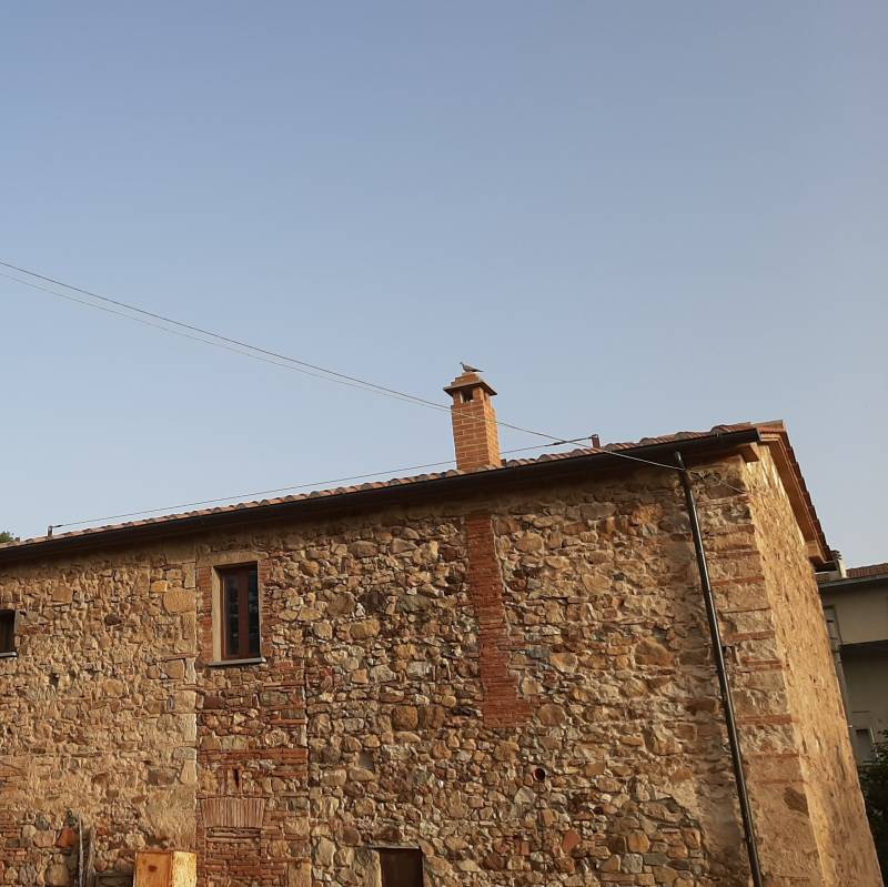 Fotosegnalazione di Bagno di gavorrano