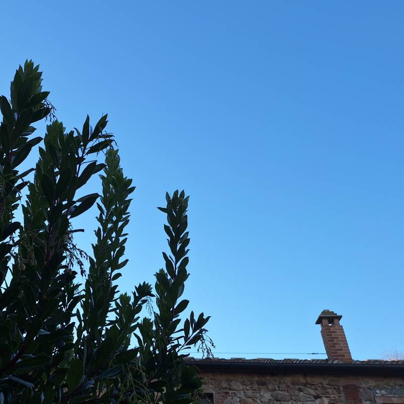 Fotosegnalazione di Bagno di gavorrano
