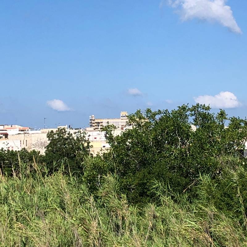 Fotosegnalazione di Castrignano del capo