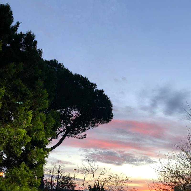 Fotosegnalazione di La spezia centro