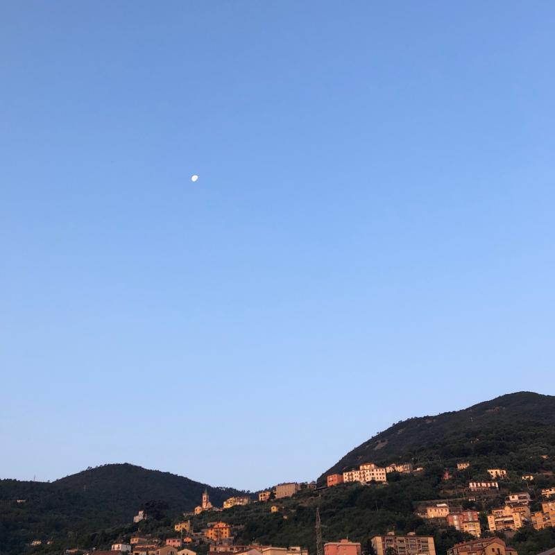 Fotosegnalazione di La spezia centro