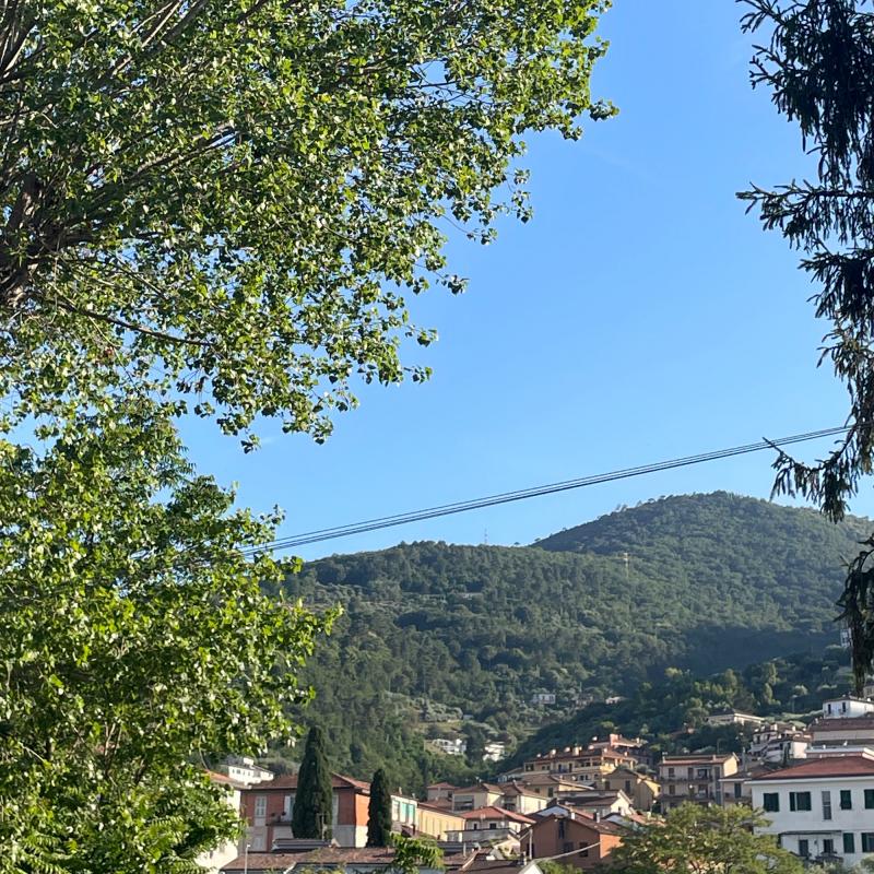 Fotosegnalazione di La spezia centro