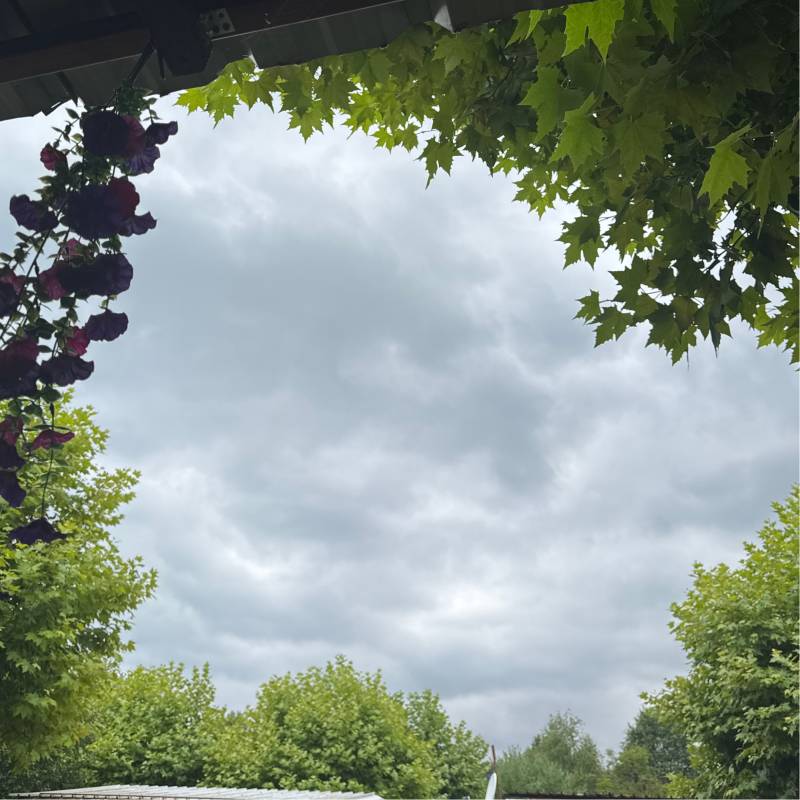 Fotosegnalazione di Pecco