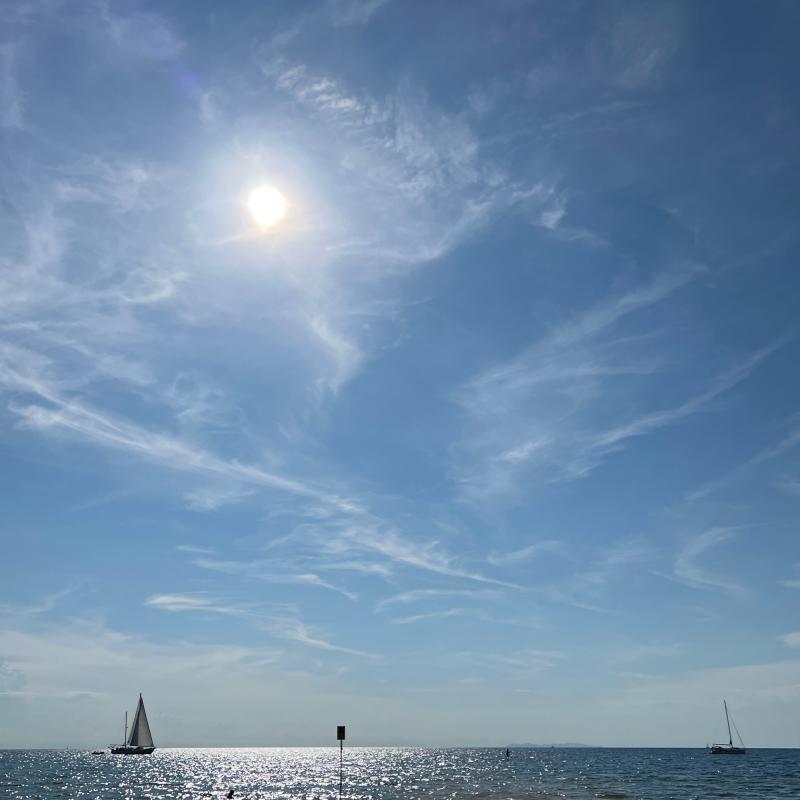 Fotosegnalazione di San vincenzo