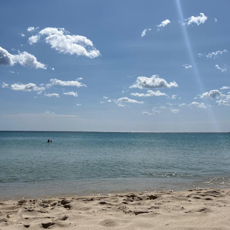 Fotosegnalazione di Costa rei