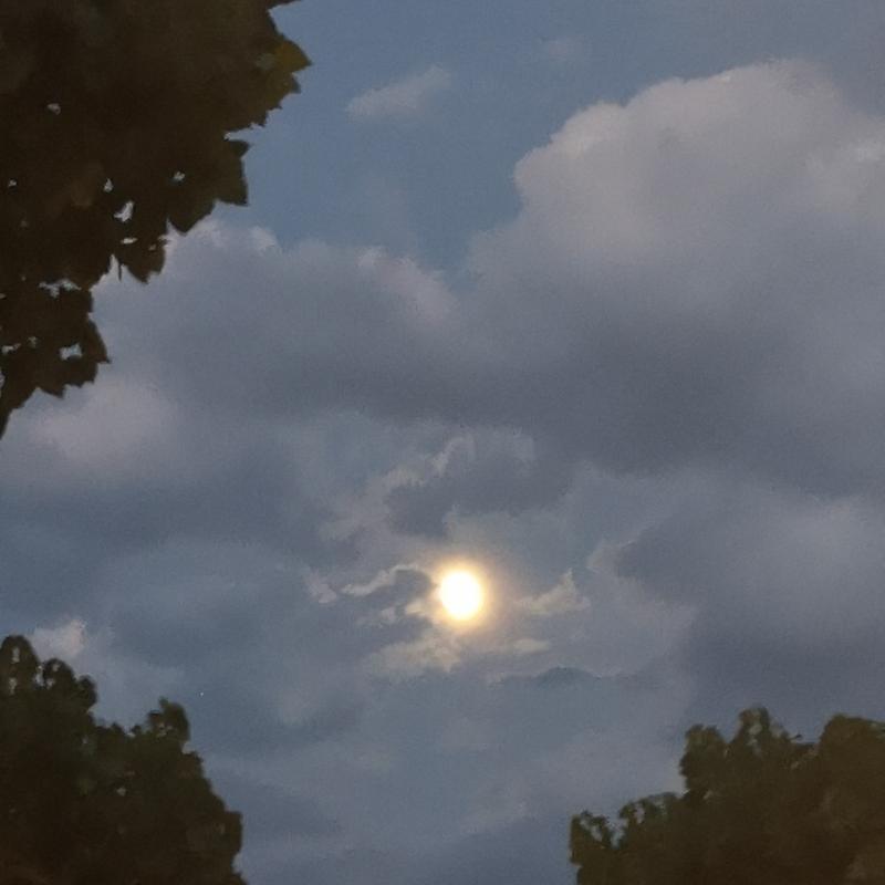 Fotosegnalazione di Civitanova marche