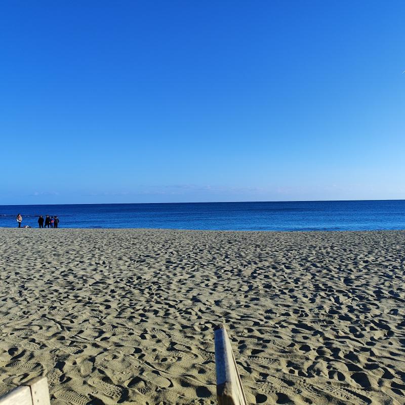 Fotosegnalazione di Albissola marina