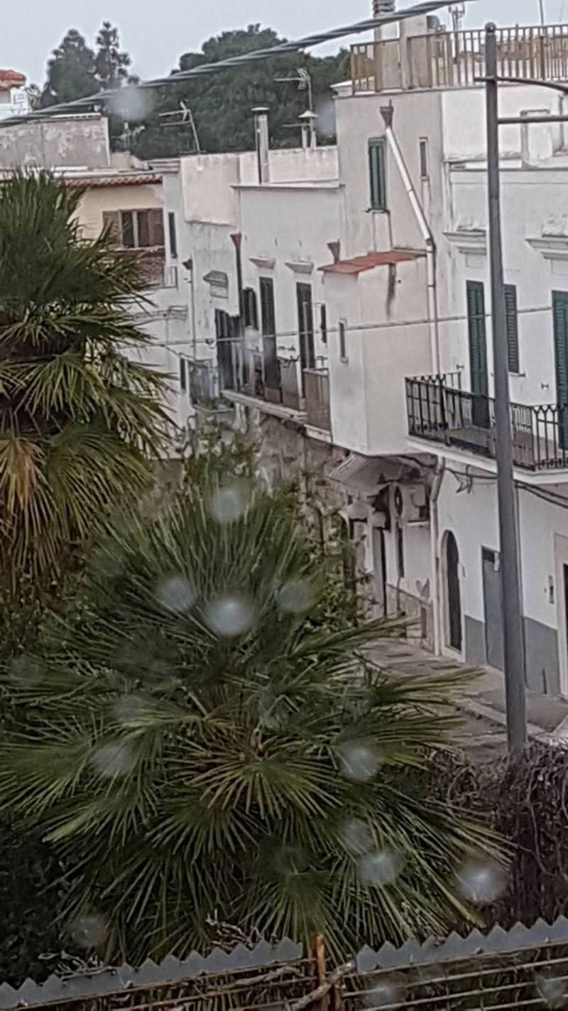 Peschici del gargano