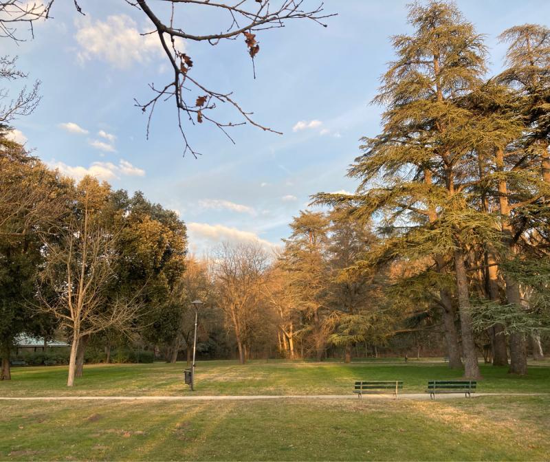 Fotosegnalazione di Imola