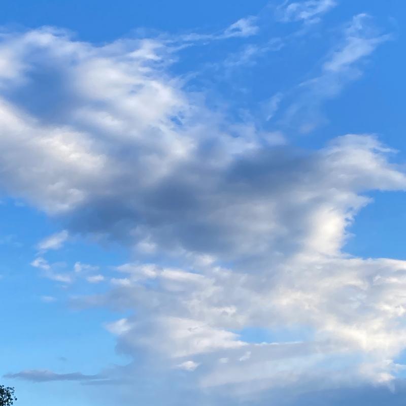 Fotosegnalazione di Imola