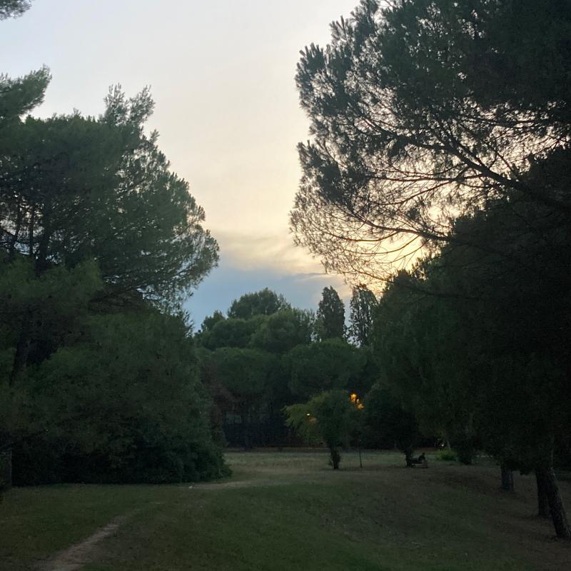 Fotosegnalazione di Rimini v peep