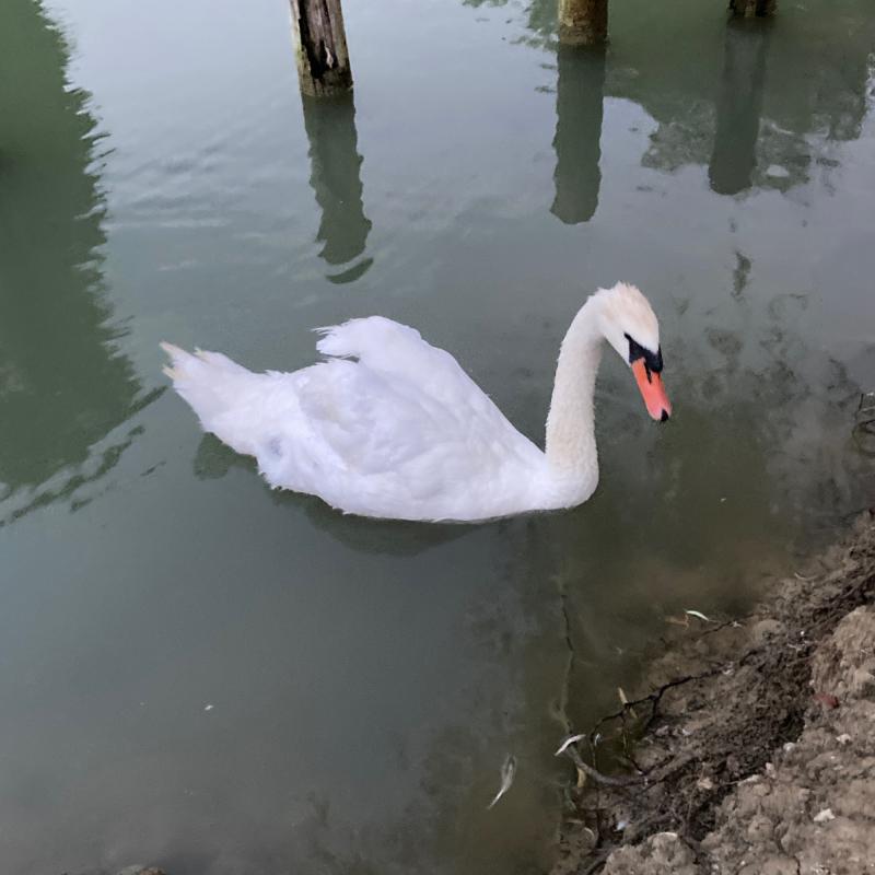 Fotosegnalazione di Rimini v peep