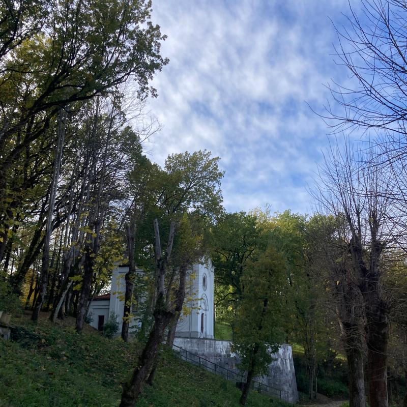 Fotosegnalazione di Riolo terme