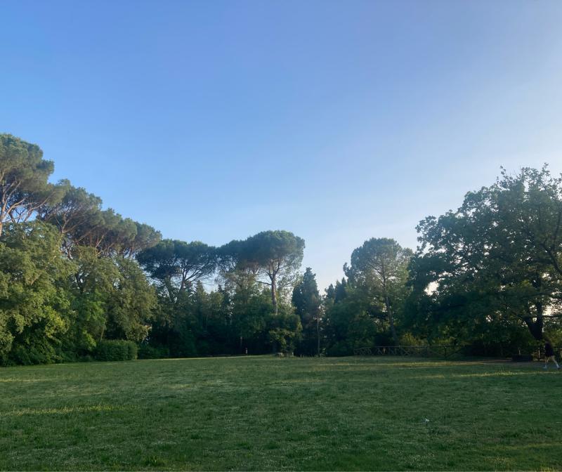 Fotosegnalazione di Imola