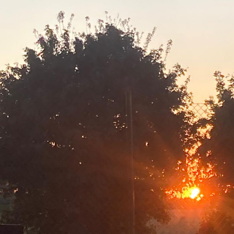 Fotosegnalazione di Imola