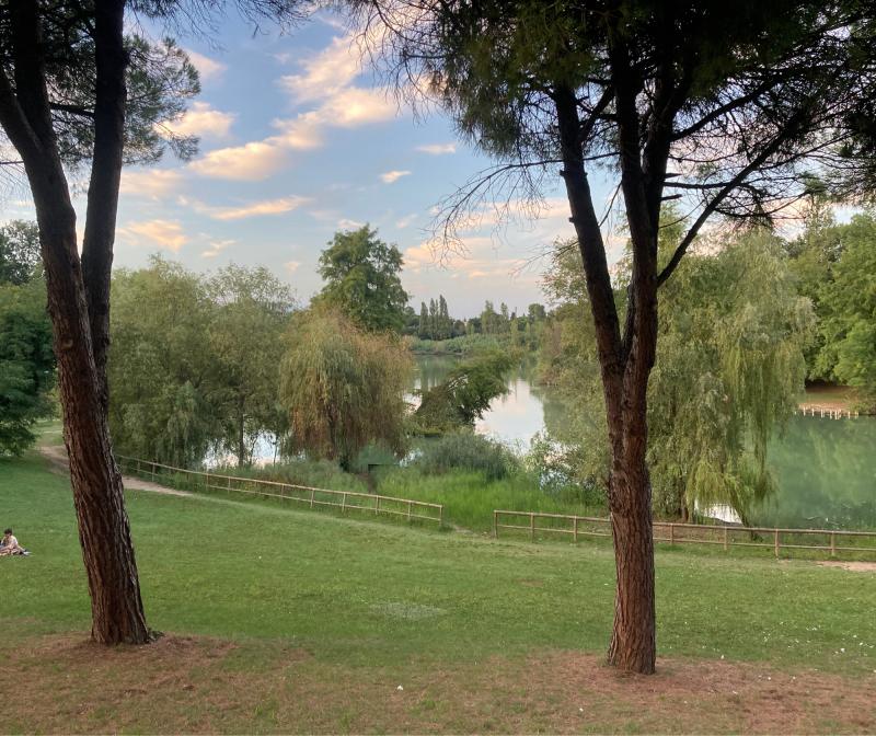 Fotosegnalazione di Rimini v peep