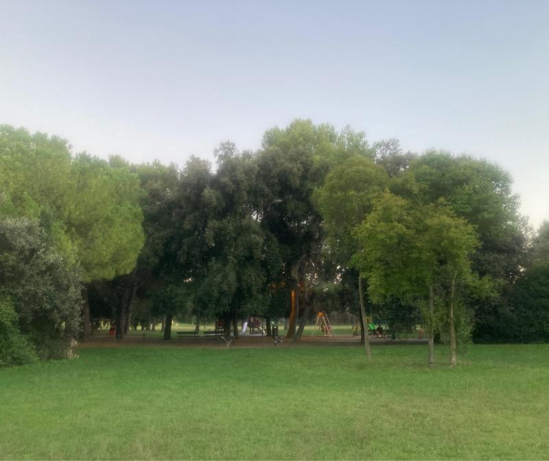 Fotosegnalazione di Rimini v peep