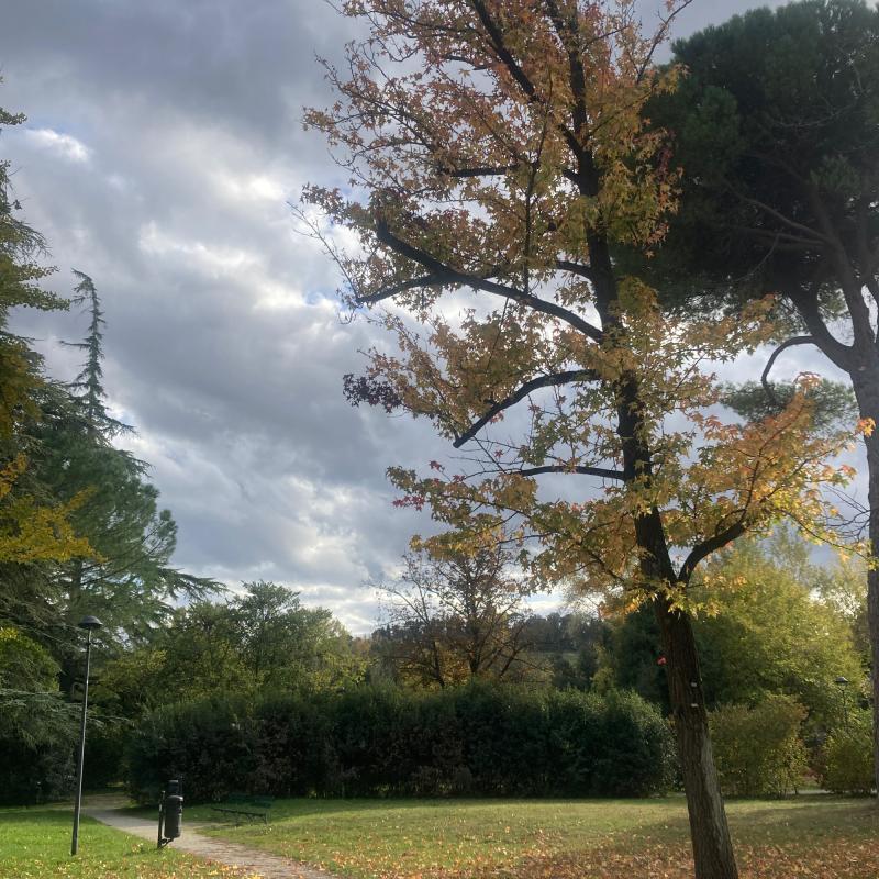 Fotosegnalazione di Imola