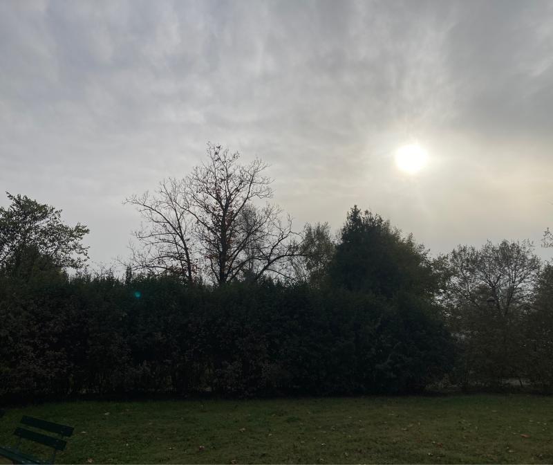 Fotosegnalazione di Imola