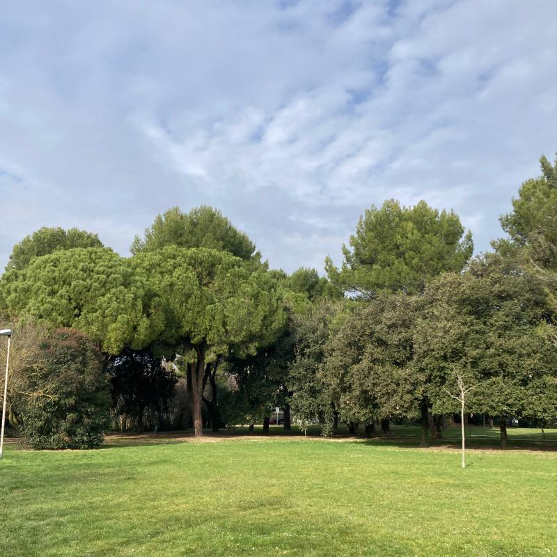 Fotosegnalazione di Rimini v peep