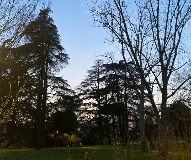 Fotosegnalazione di Imola