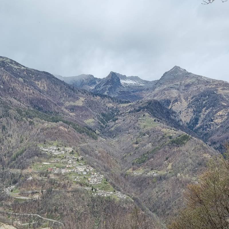 Fotosegnalazione di Bognanco fonti