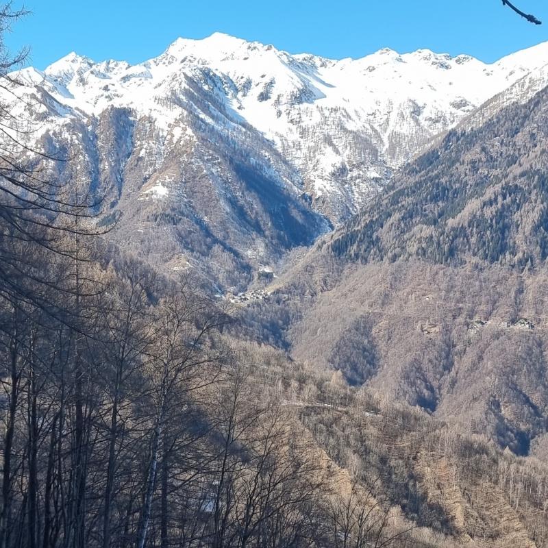 Fotosegnalazione di Bognanco