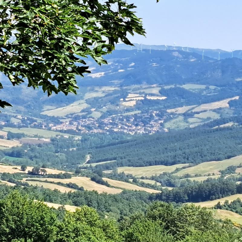 Firenzuola da puligno