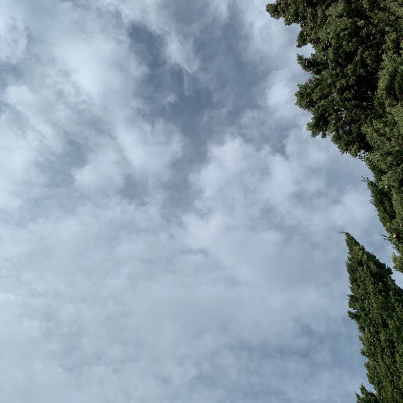 Fotosegnalazione di Vercurago